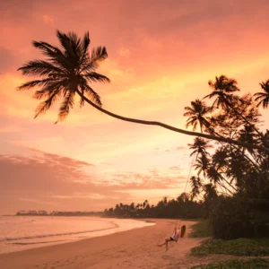 Explore Sri Lanka